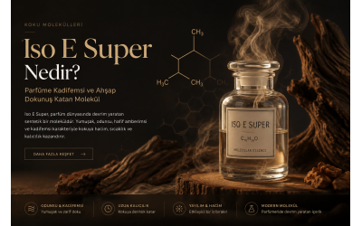 Iso E Super Nedir? Parfüme Kadifemsi ve Ahşap Dokunuş Katan Molekül