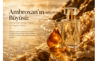 Ambroxan'ın Büyüsü: Parfümde Amber Etkisi ve Yayılım Gücü