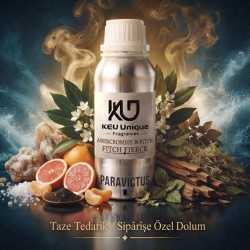 PARAVICTUS DELUX KALITE PARFUM ESANSI (PACO RABANNE INVICTUS KOKUSUNU ANDIRIR.)